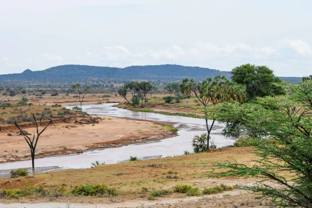 Ewaso Ngiro River - Samburu National Reserve