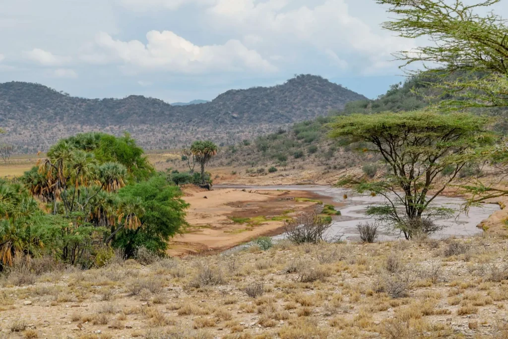 Ewaso Nyiro River Samburu National Reserve