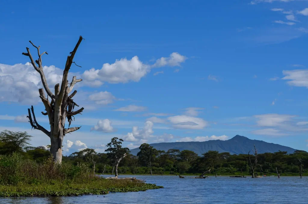 Lake Naivasha