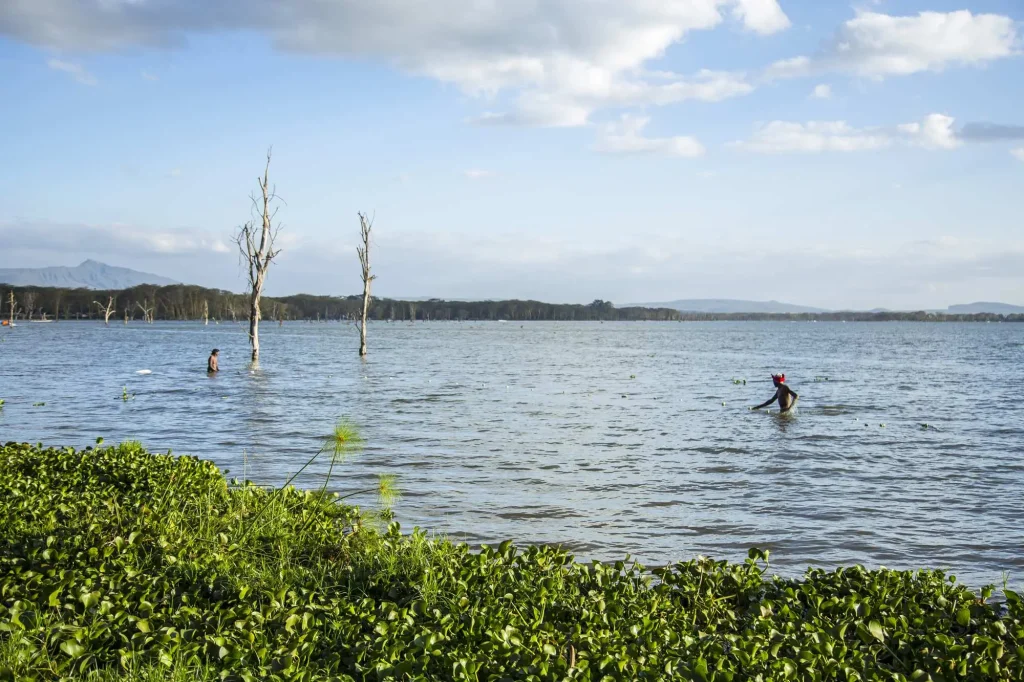 Locals Fishing Lake Naivasha