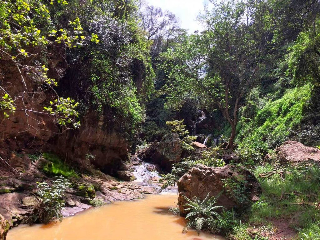 Ngare Ndare Forest Falls