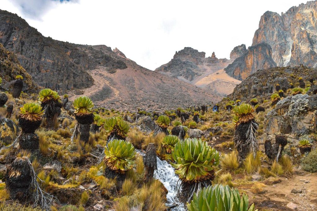 Stream Mount Kenya
