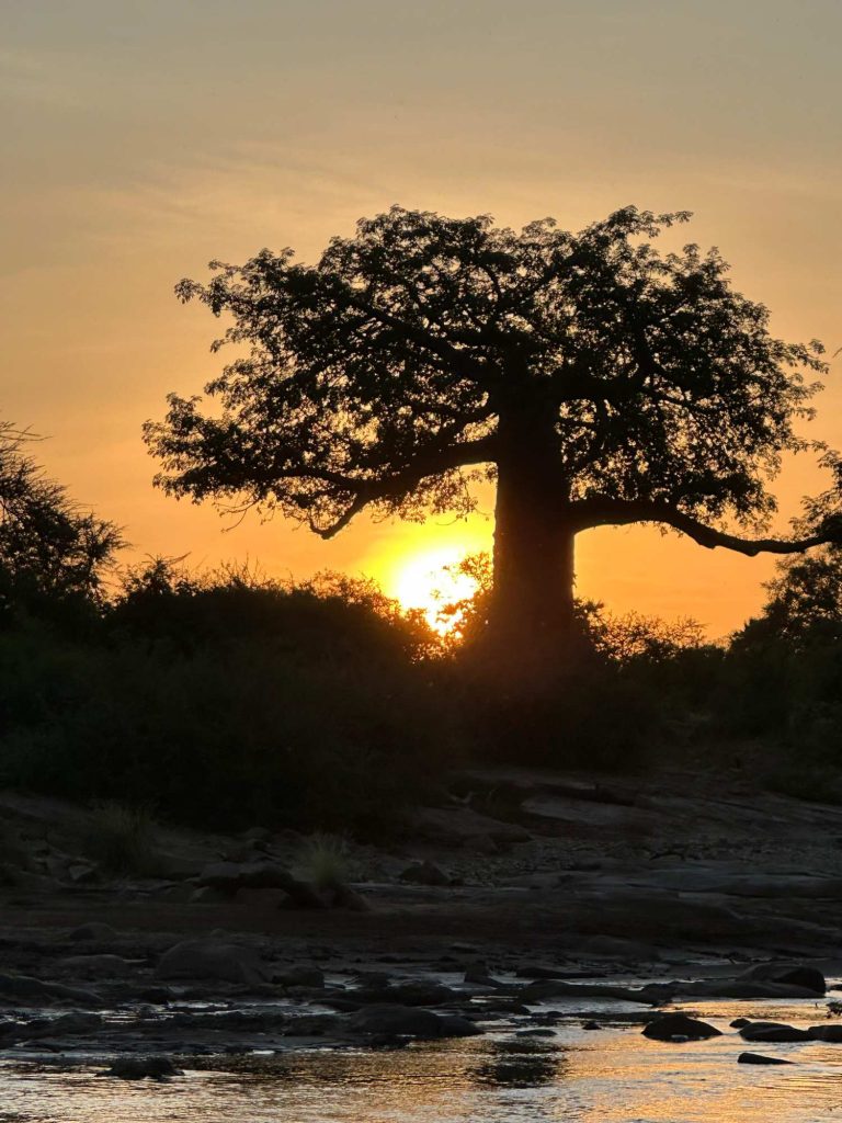 Sunset Tsavo West National Park