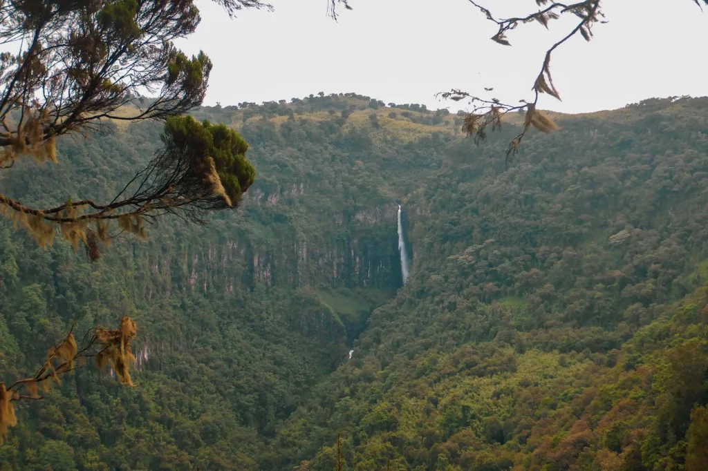 Waterfall - Aberdare National Park