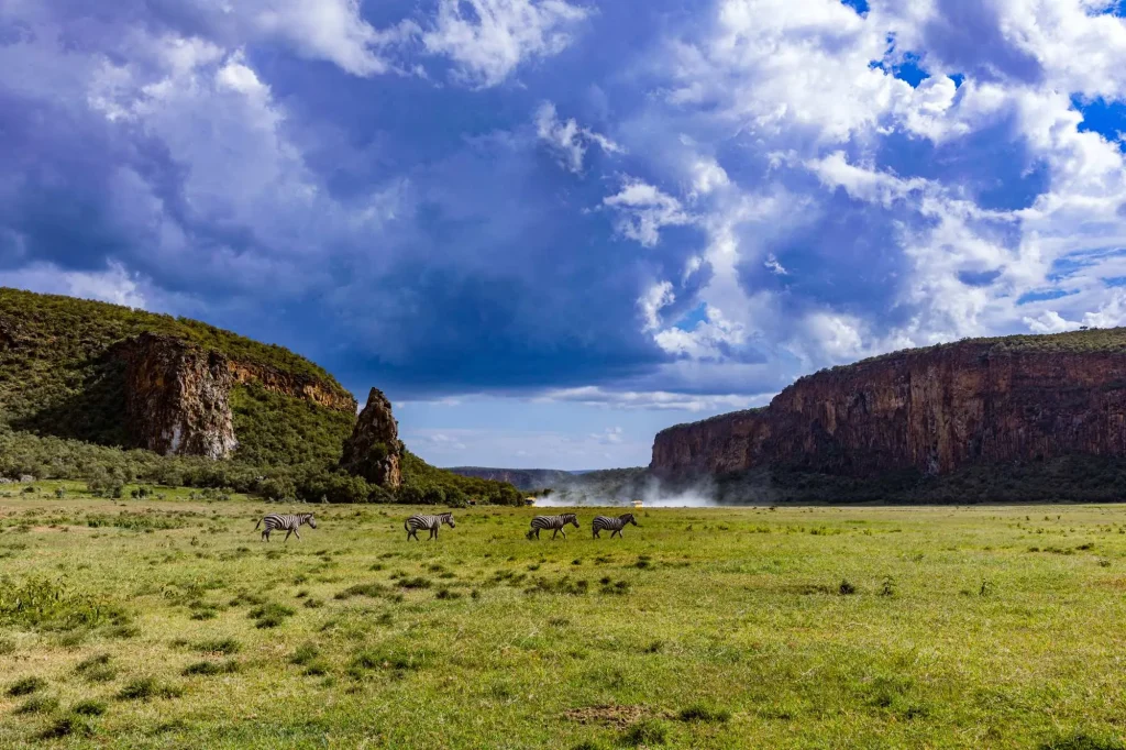 Wildlife Grazing - Hells Gate National Park