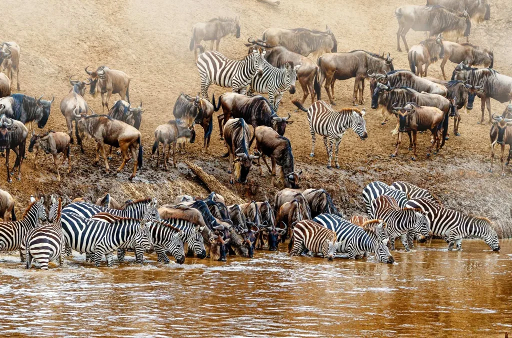 Great Migration