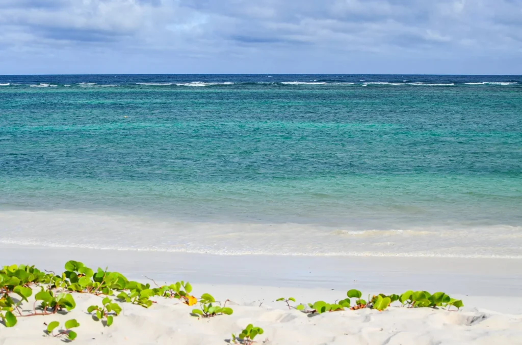 Paradise Beach with White Sand Diani Beach Kenya Africa
