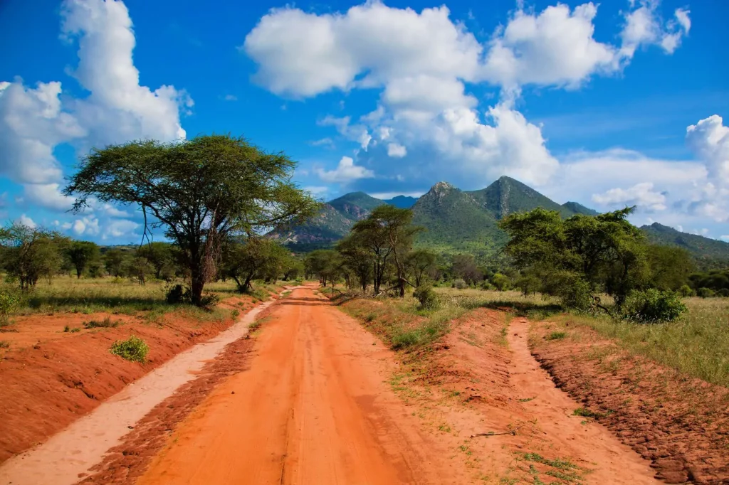 Red Ground Road Bush with Savanna Tsavo West Kenya Africa