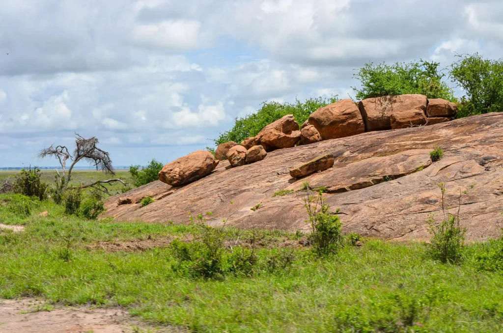 Red Hill Savannah Tsavo East Kenya Africa