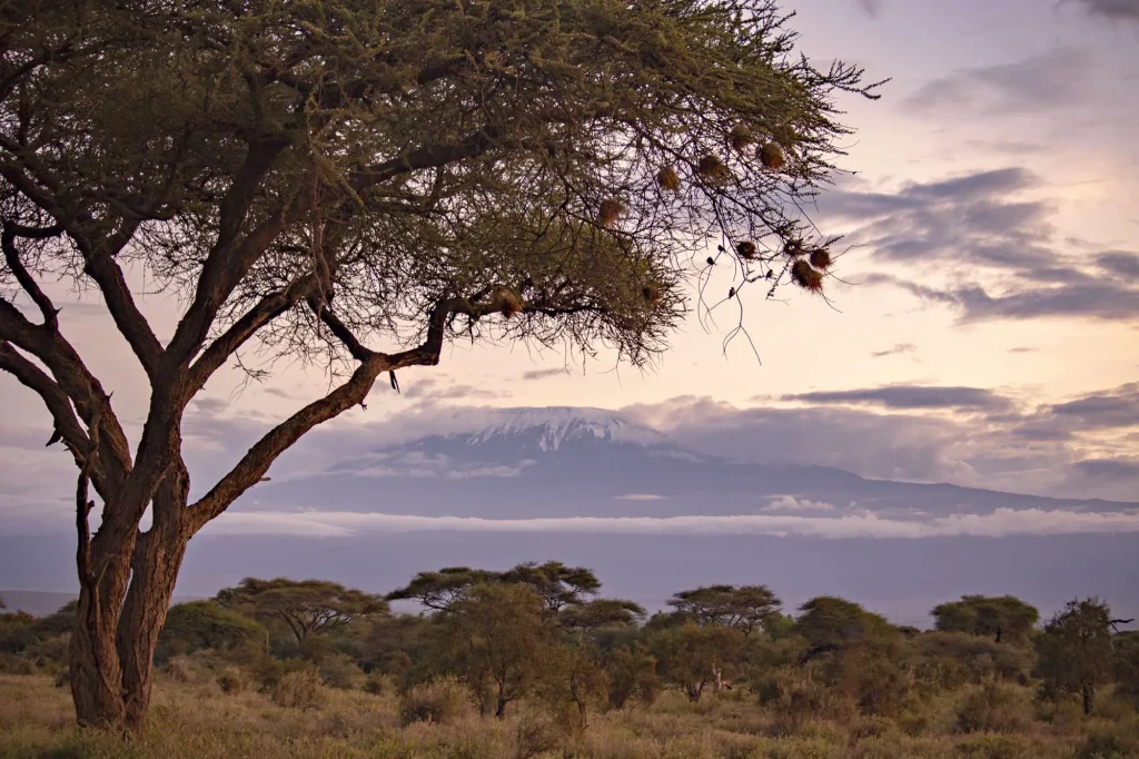 Sunset Tsavo East National Park Kenya