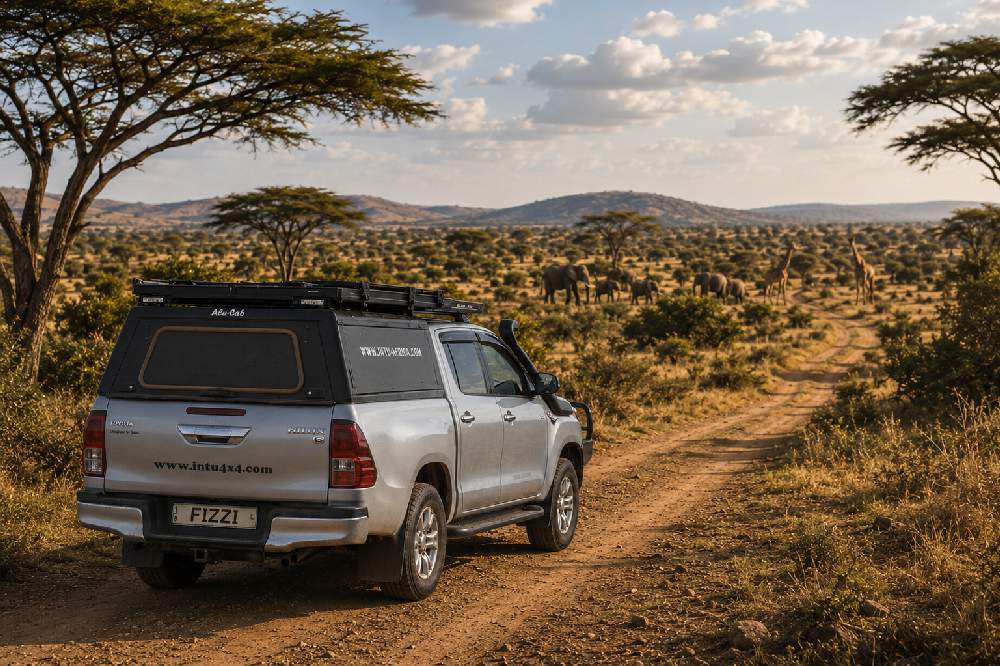 Fizzi on Safari
